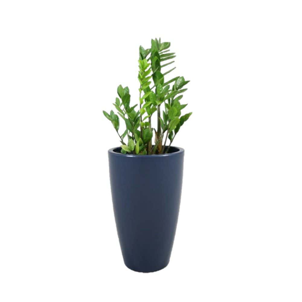 narrow plant pot Verona Tall Lightweight Pottery Planter – Margo Garden Products