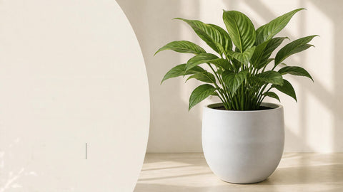 16” Marien Planter White