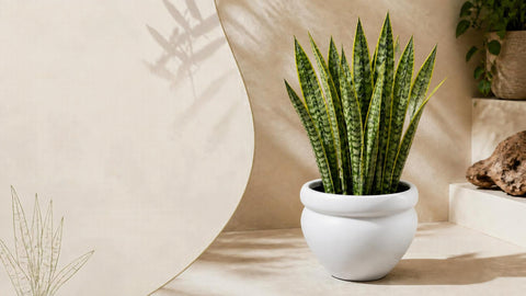 16” Batey Planter White