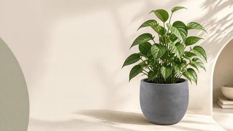 16” Marien Planter Grey