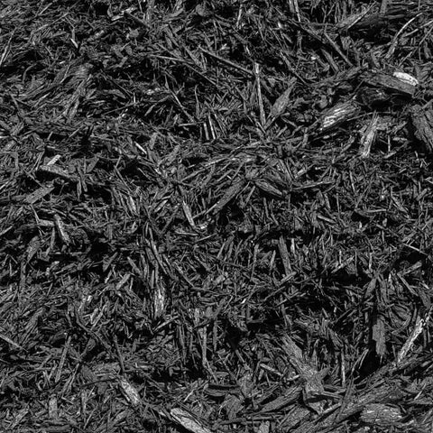 Rain Forest Black Mulch