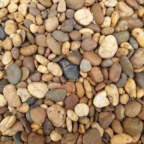 Rain Forest Commodity River Pebbles