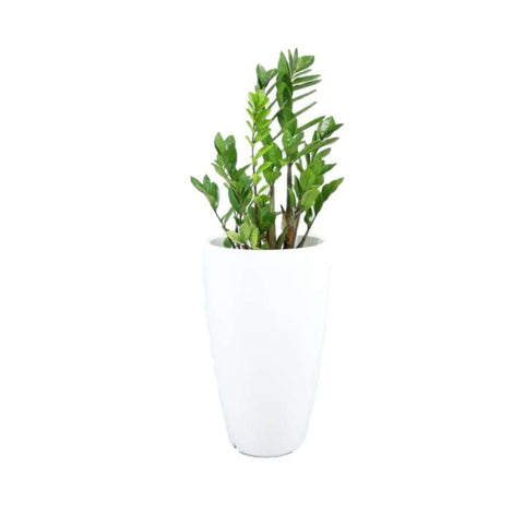 Verona Tall Lightweight Pottery Planter