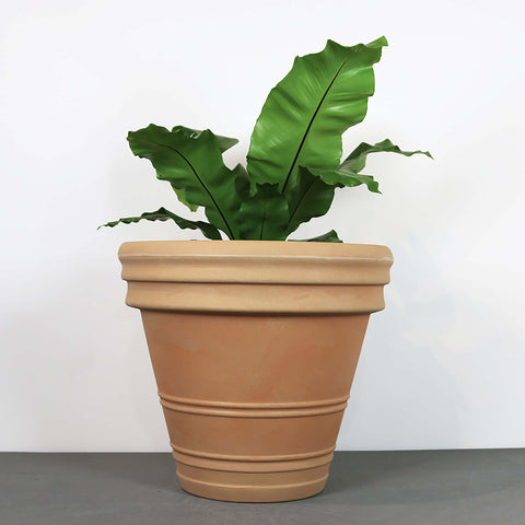 Antúrio Anique Terracotta Plastic Planter