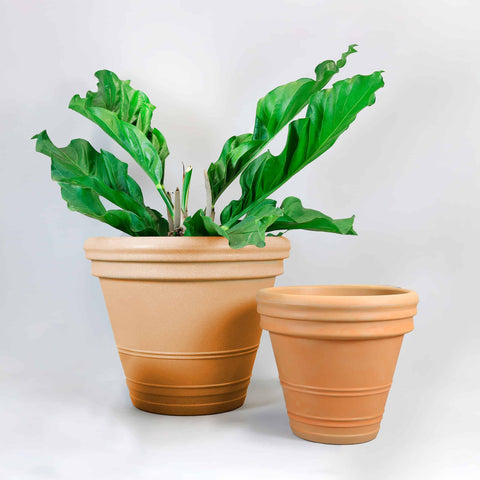 Antúrio Anique Terracotta Plastic Planter