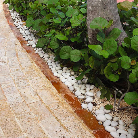 Rain Forest Caribbean Beach Pebbles