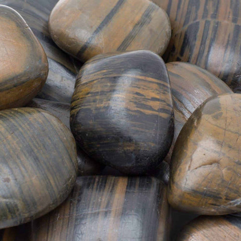 Rain Forest Striped Polished Pebbles